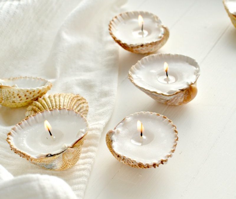 Reef Kids: Seashell Candles