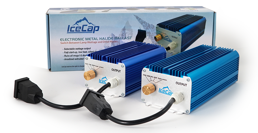 icecap metal halide ballast light