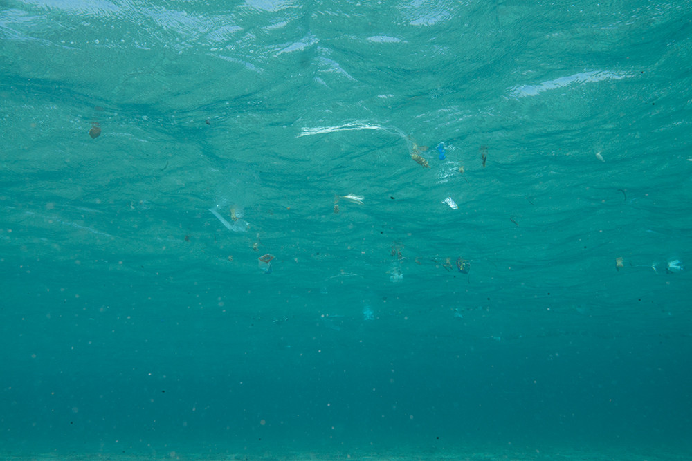 plastic pollution, ocean