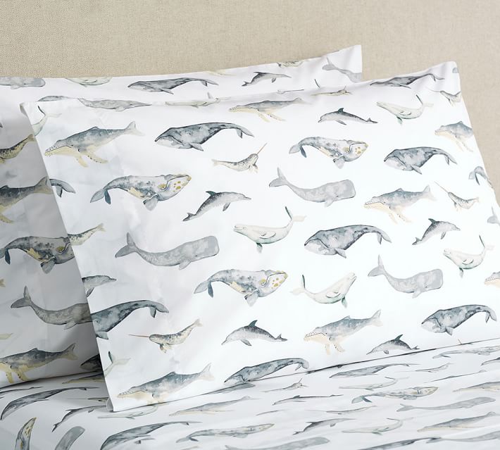 whale, dolphin, sheets, organic
