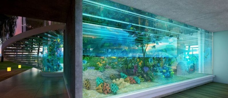 RedFin’s Giant Concept Aquarium