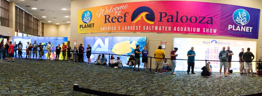 2018 Reefapalooza New York -THANK YOU! (see pics :))
