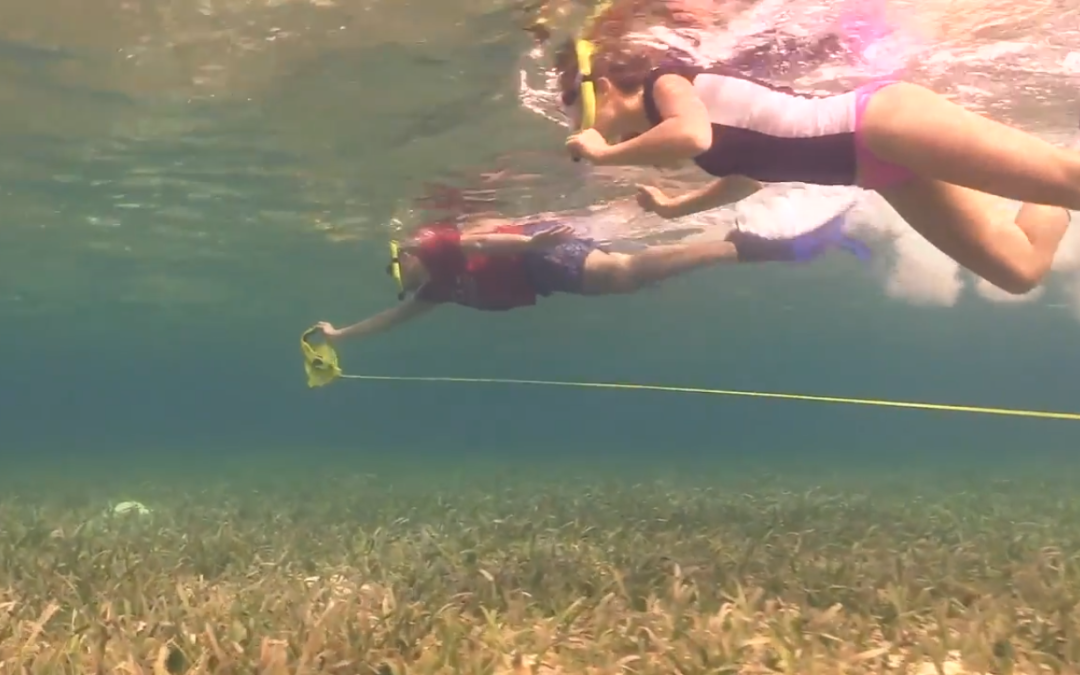 Organization Highlight: Ocean First Institute