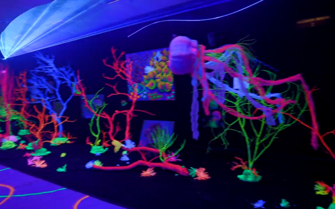 My favorite aquarium show ever! – Aquashella 2018