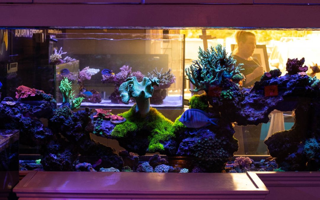 Reefs.com on the road: Aquarium Care Center BASH 2018 Event Coverage