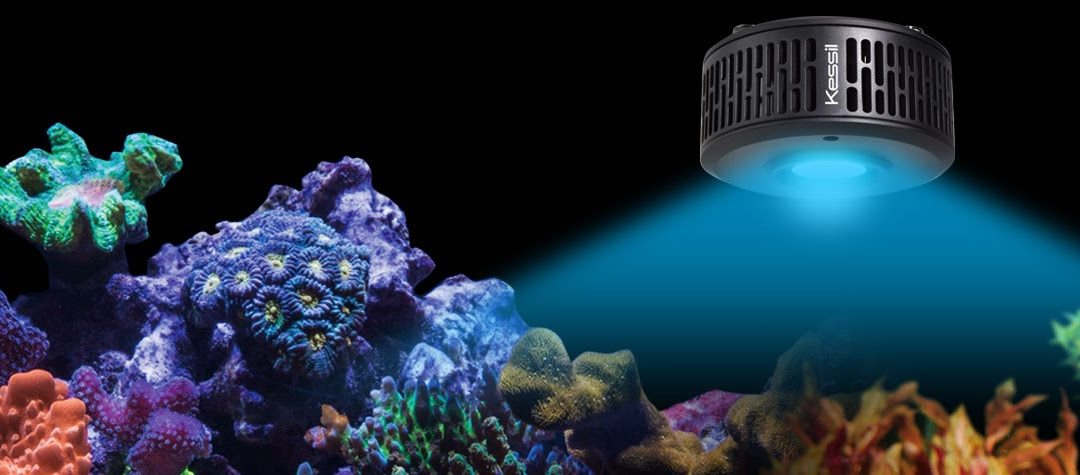 Kessil A360X Now Available for Pre-Order