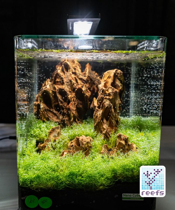 2018 Aquatic Experience Coverage Part IV: Kid’s Aquarium Contest ...