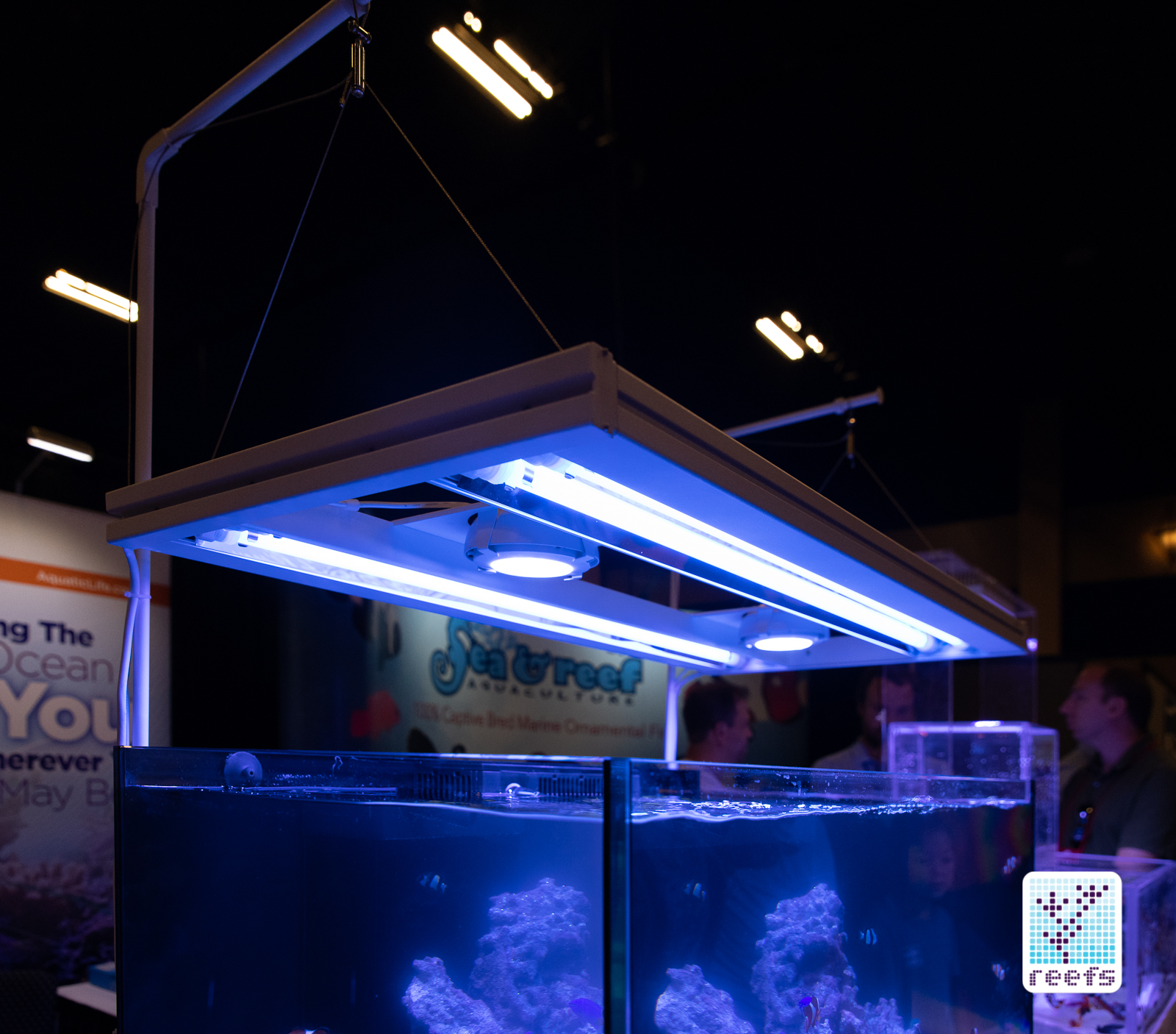 Aquaticlife T5 Hybrid Light Fixture: The Definitive Review, 57% OFF