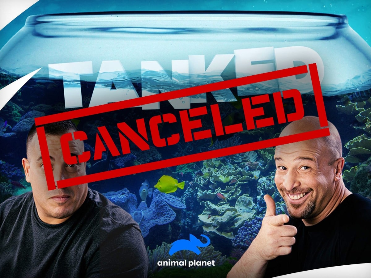 Tanked Series Ending After 15 Seasons on the Air