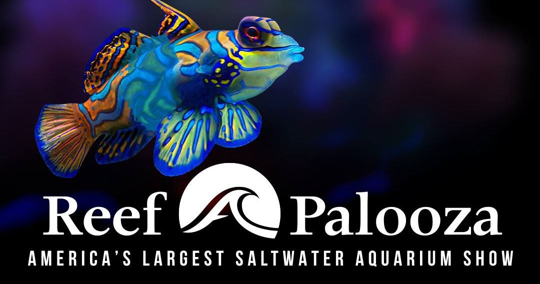 Reef A Palooza Orlando 2019 Highlights of Day 1!