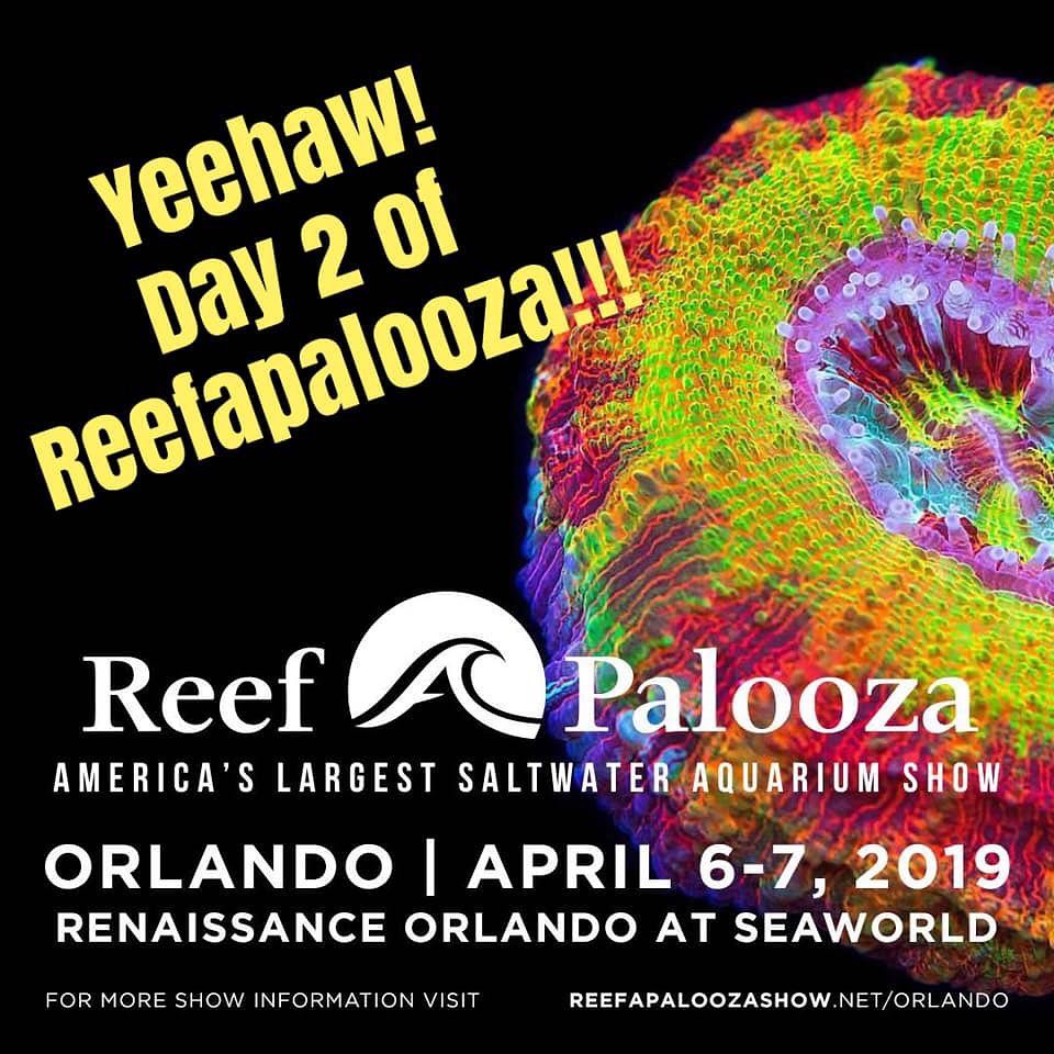 Reef A Palooza Orlando 2019 Day 2 Recap