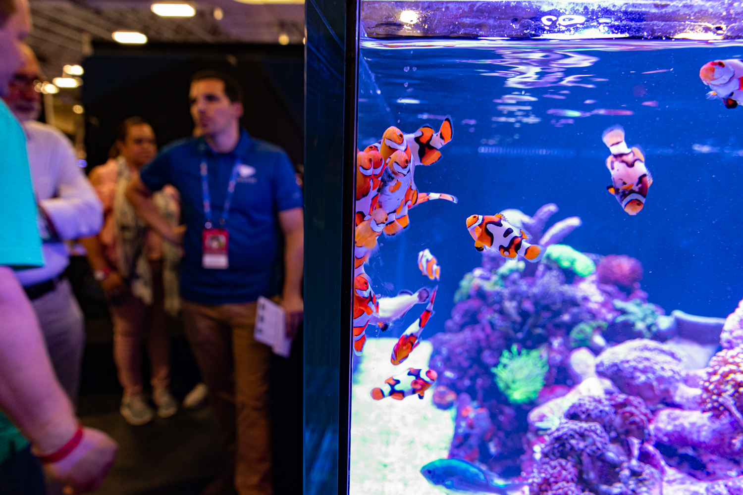 Reefapalooza 2019 New York Walkthrough Part 1: Ecotech, Red Sea, Aquaroche booths