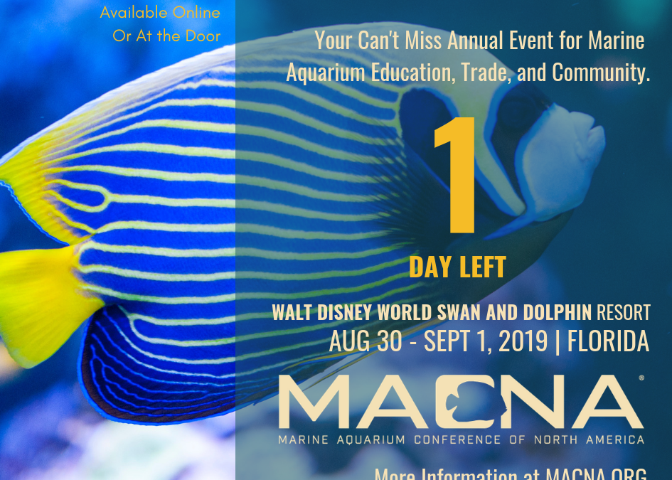 MACNA 2019 Starts Tomorrow!