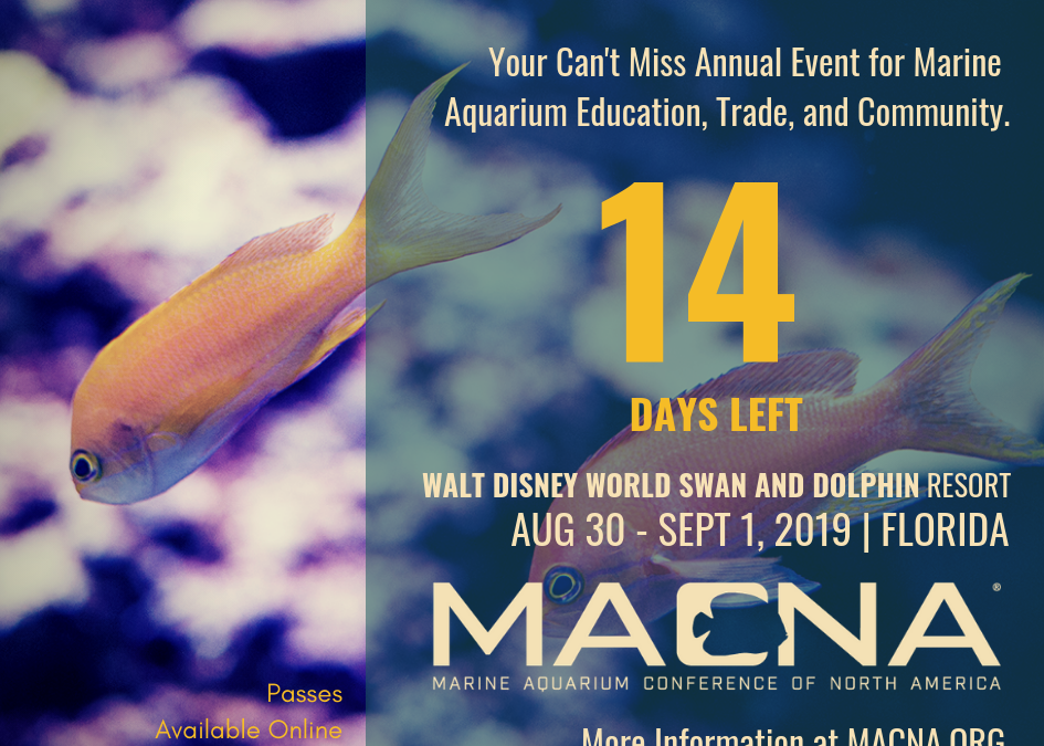14 Days Until MACNA 2019 in Orlando, Florida