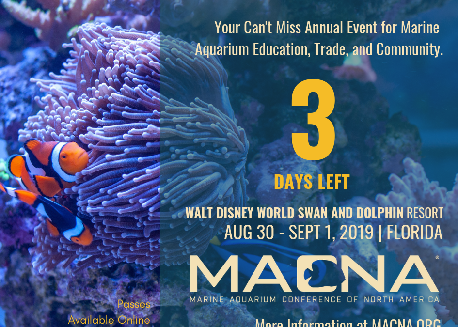 The MASNA Student Scholarships at MACNA 2019- 3 Days Away