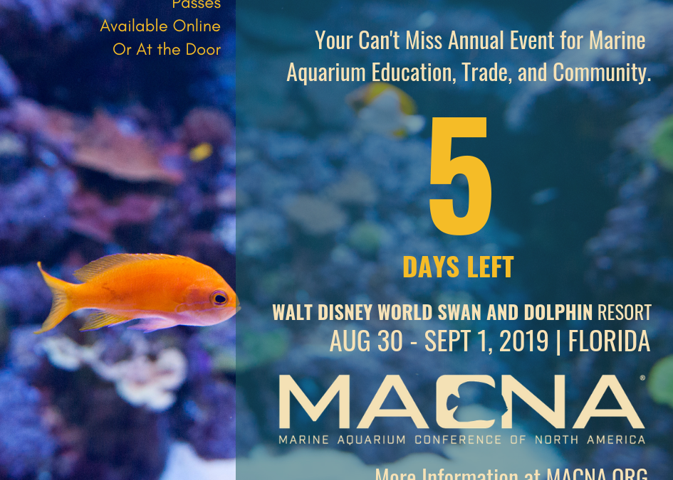 Aquarist of the Year & The MASNA Award at MACNA 2019