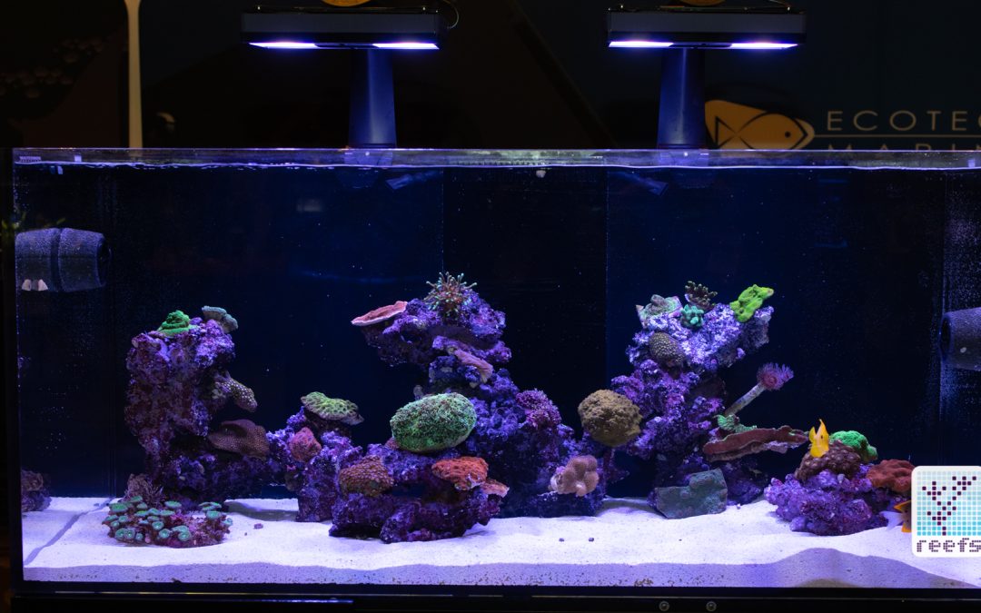 MACNA 2019 Coverage Part 2 : Best Tanks