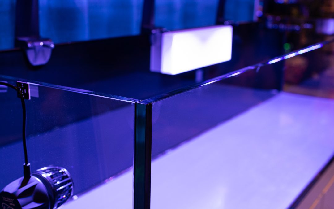 MACNA 2019 Orlando Coverage: Planet Aquariums Crystaline aquarium line