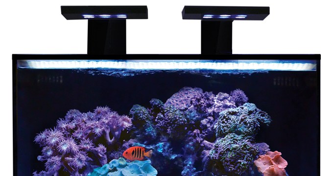 Innovative Marine completes their Fusion Nano AIOs with new 18w Skkye Light LED