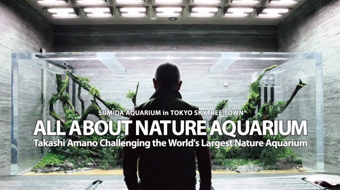 Amano designs giant nature aquariums for Sumida Aquarium at Tokyo Sky Tree Town