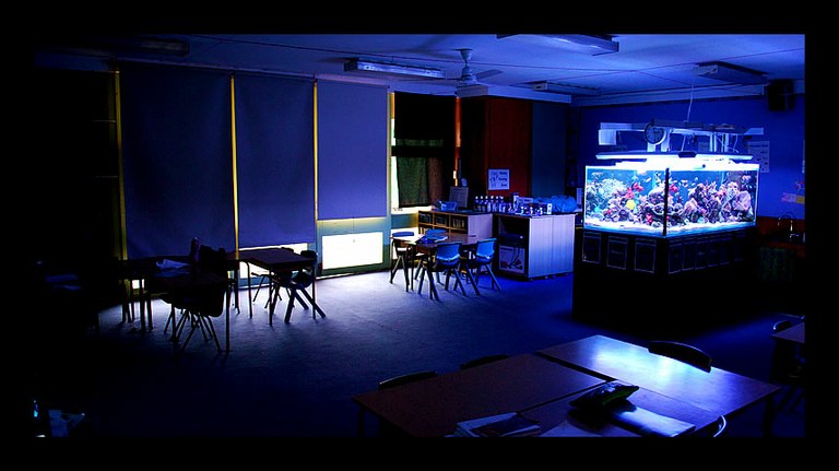 A Classroom Dreams Are Made Of