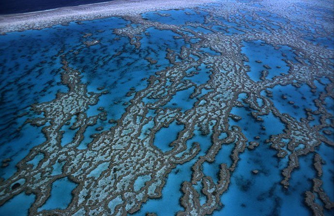 Australia to establish world's largest marine reserve