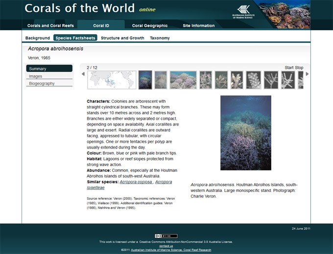 Corals of the World: Another important reference website