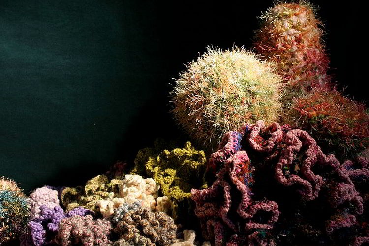 Crocheting a Coral Reef -  One Stitch at a Time
