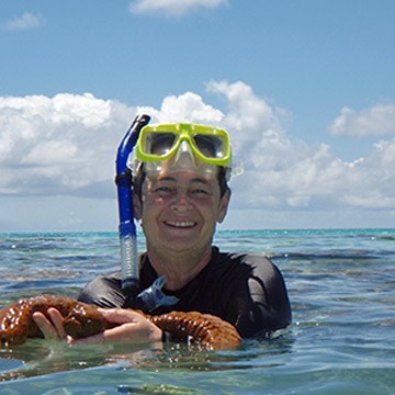 Cukes overfished on the GBR