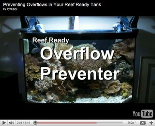 DIY: Prevent Overflows in your Reef Tank