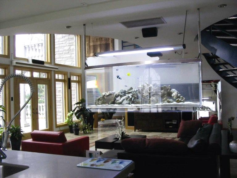 Instead of a flat panel TV, how about a hanging aquarium?