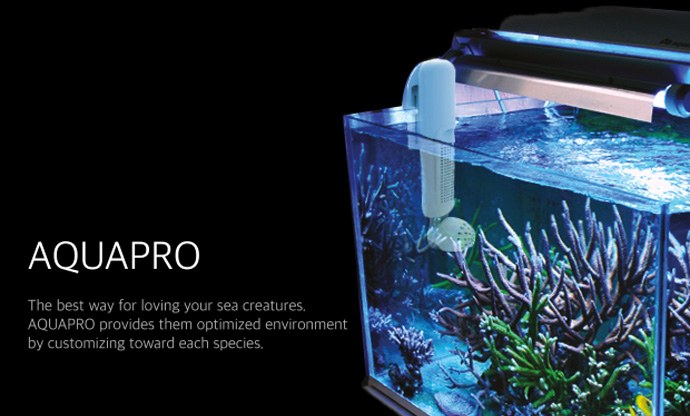 Is the market ready for another aquarium monitor?