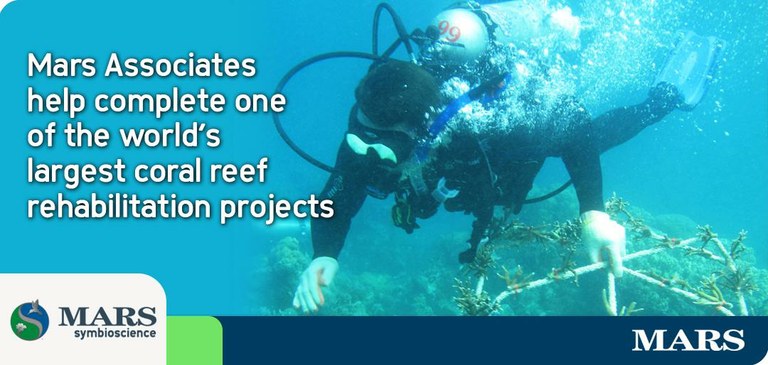Mars, Inc doing sweet reef conservation work