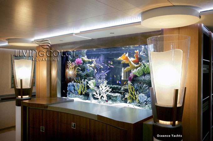 Seaworthy: 700 Gallon Marine Aquarium on a Mega Yacht