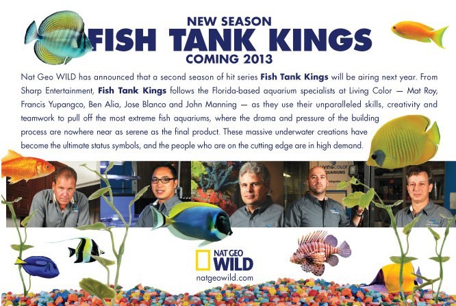 Nat Geo Wild renews Fish Tank Kings for second season