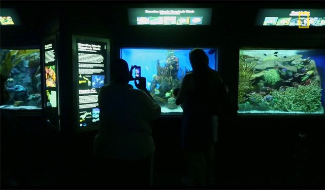 National Geographics documents the closing of DC's National Aquarium