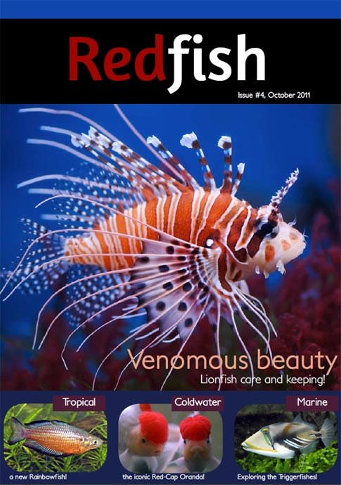 October 2011 Redfish Magazine now available