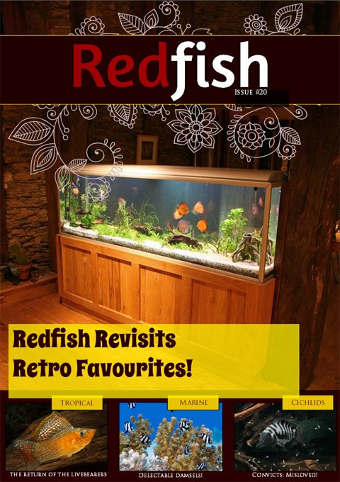 Redfish #20 is all about retro fish