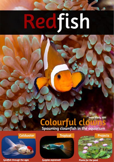 Redfish: A new (and free) aquarium magazine