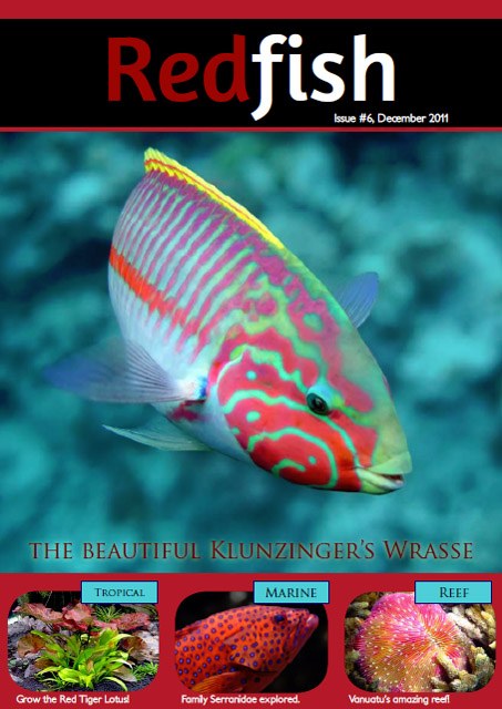 Redfish Dec 2011 is out