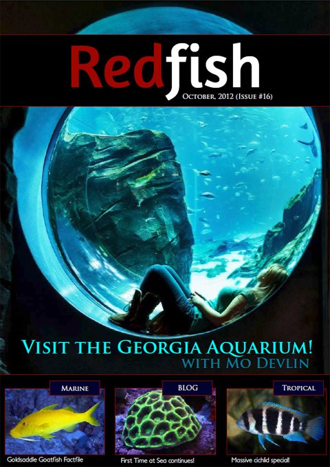Redfish Issue #16 on the 'newstands' now