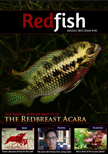 Redfish's August 2012 issue
