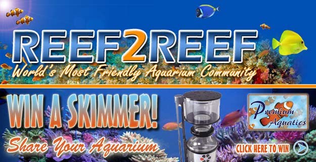 Reef2Reef Contest: Win a Gen 3 Vertex Protein Skimmer