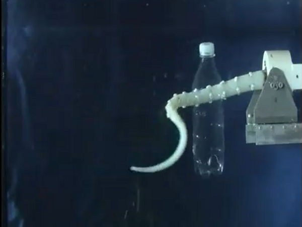 Scientists Attempt to Design a Robotic Octopus [Video]