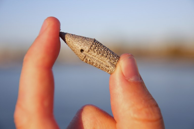 Scientists use 3D printing to produce better fish tracking tools