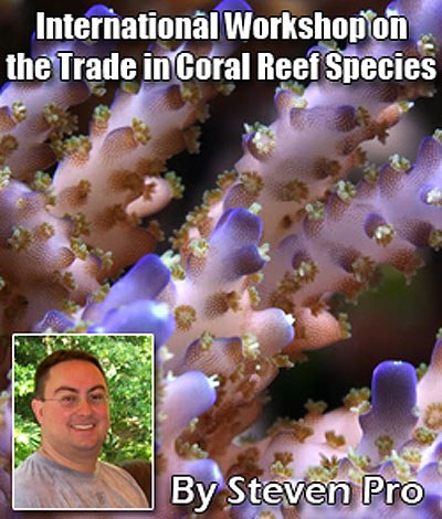The State of Coral Mariculture
