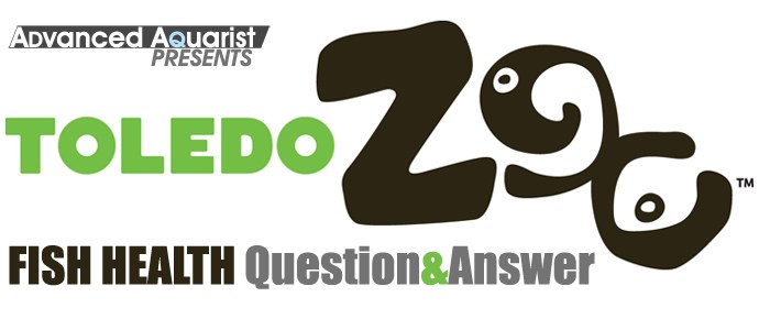 Toledo Zoo and Advanced Aquarist partnering for new Fish Health Q&A Column
