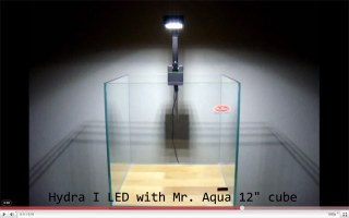 Videos of the Hydra Aquatics Retina I LED