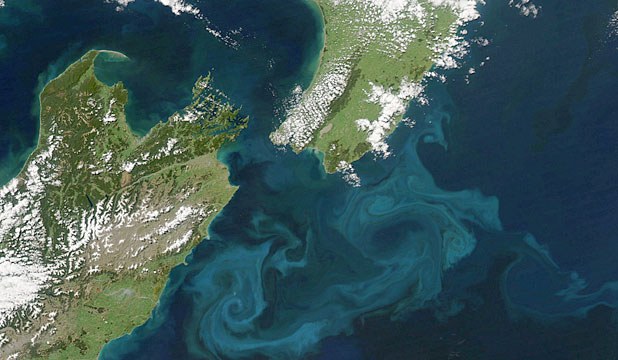 Vast plankton bloom off New Zealand 