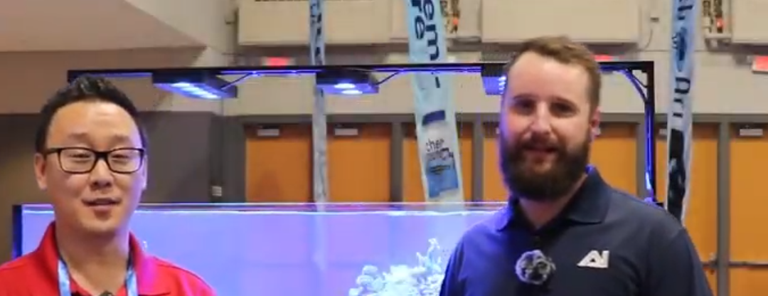 Reef A Palooza Chicago: AquaIllumination